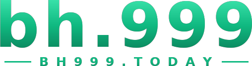 bh.999 logo